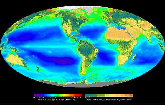 webassets/Seawifs_global_biosphere.jpg